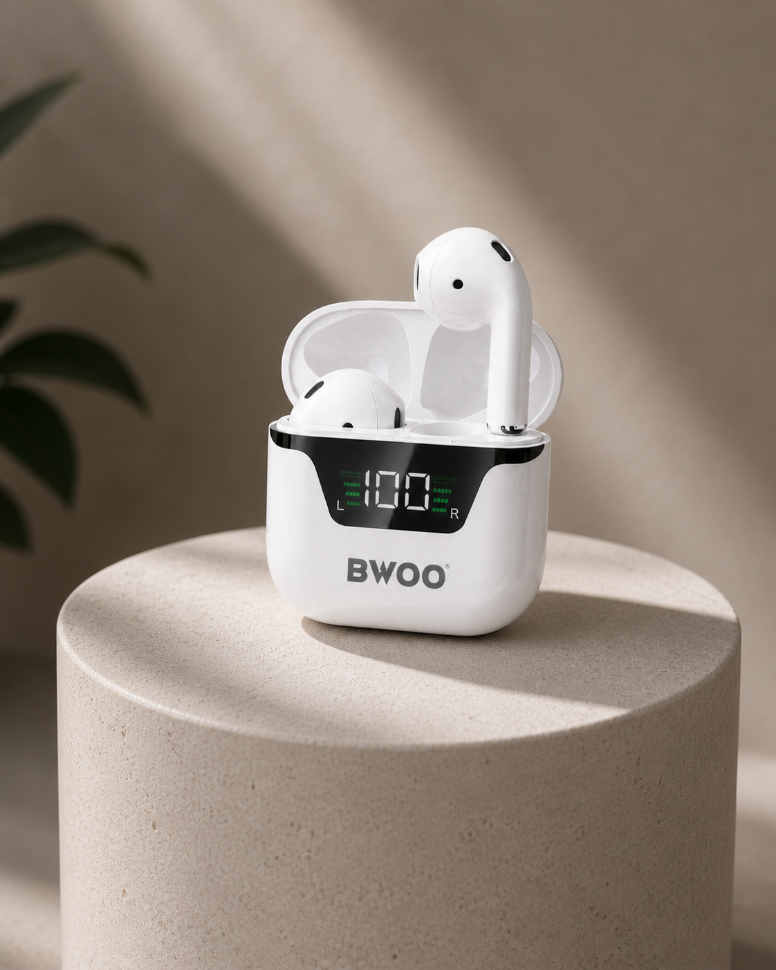 AUDIFONOS BO-BW50